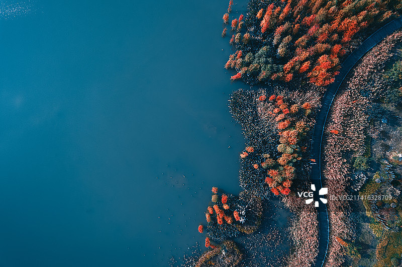 贵阳太阳湖滨河公园水杉林图片素材