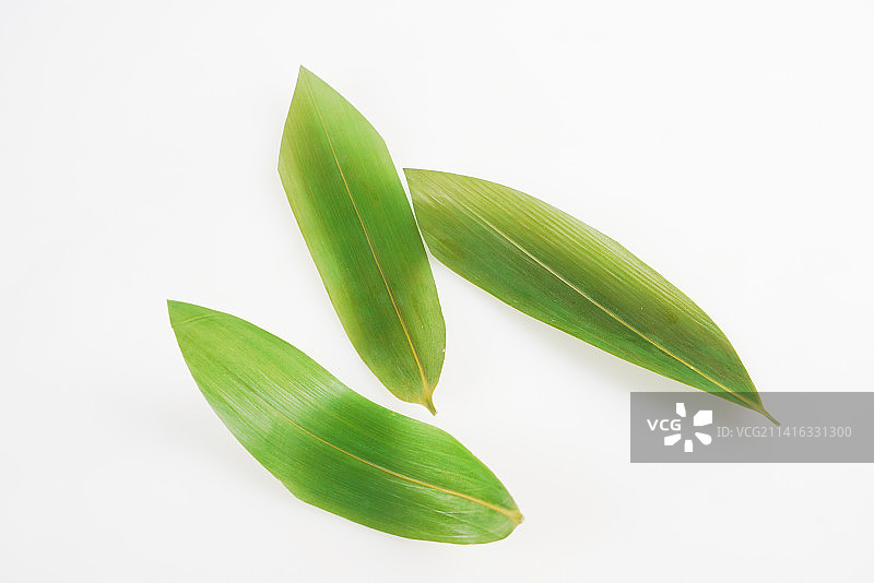 端午节粽叶图片素材