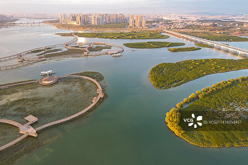 厦门航拍下潭尾湿地公园图片素材