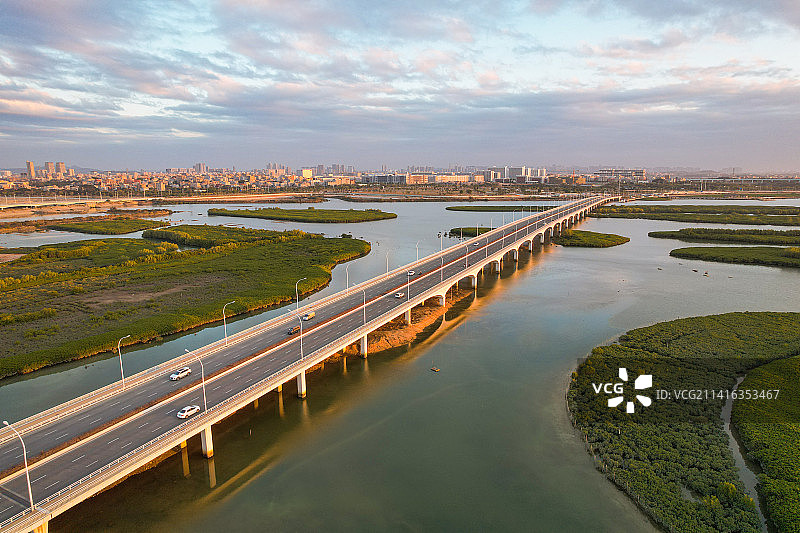 厦门航拍下潭尾湿地公园图片素材