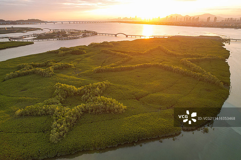 厦门航拍下潭尾湿地公园图片素材