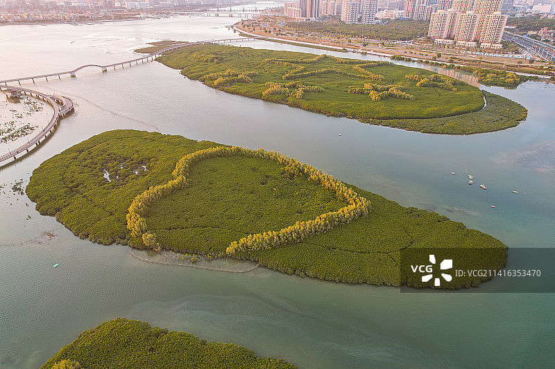 厦门航拍下潭尾湿地公园图片素材