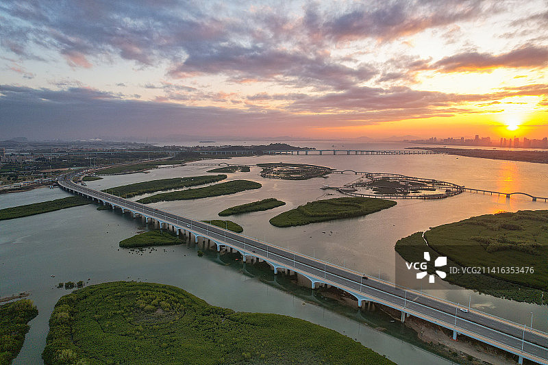 厦门航拍下潭尾湿地公园图片素材