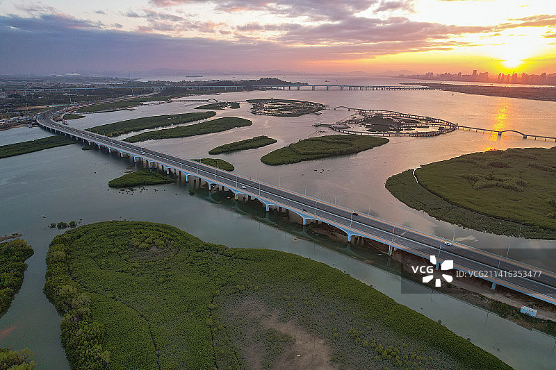 厦门航拍下潭尾湿地公园图片素材