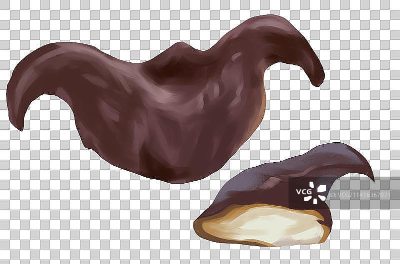 水生植物腰菱菱角草本食用食材食物蛋白质元素插画图片素材