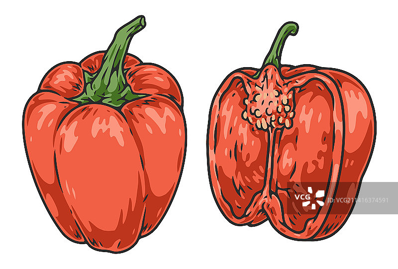 彩色甜椒标志合集图片素材