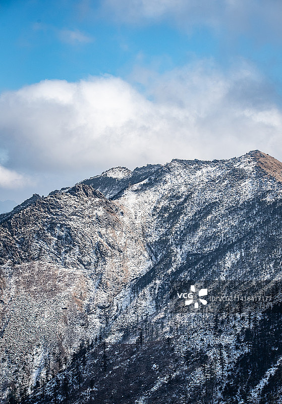 西安朱雀国家森林公园图片素材