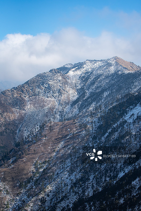 西安朱雀国家森林公园图片素材