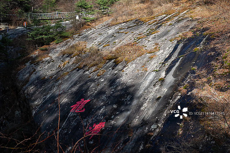 西安朱雀国家森林公园图片素材