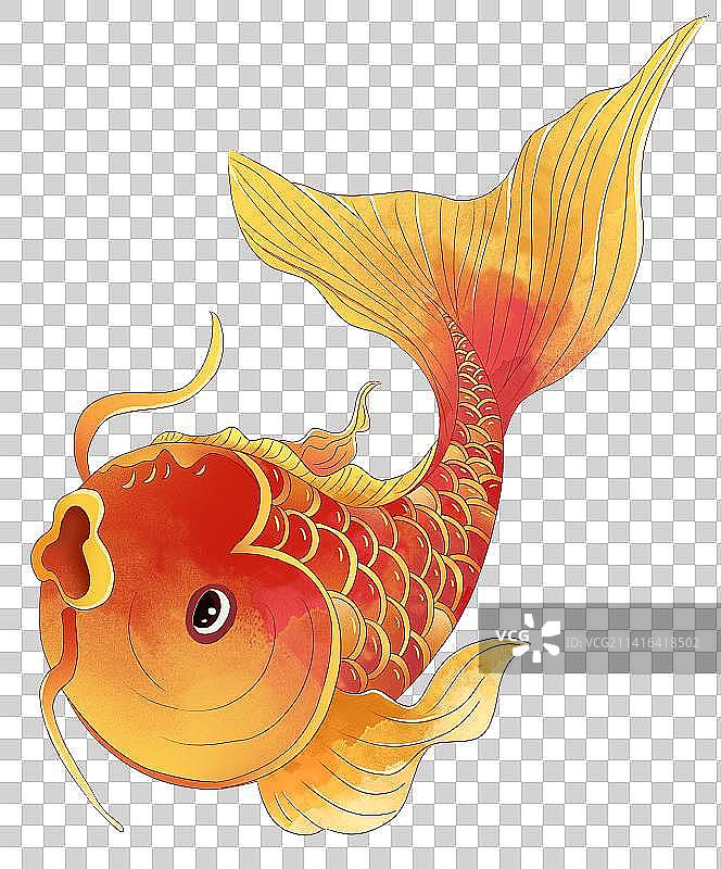 鲤鱼插画元素图片素材
