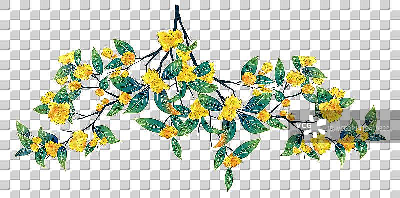 几枝桂花插画元素图片素材