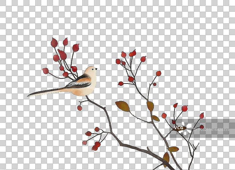 秋天鸟树枝素材图片素材