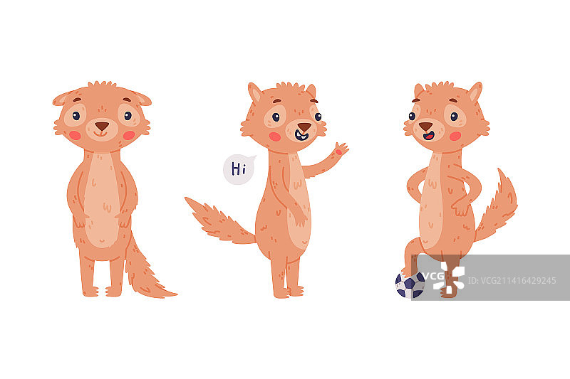 有着漂亮口鼻的可爱小非洲地松鼠图片素材