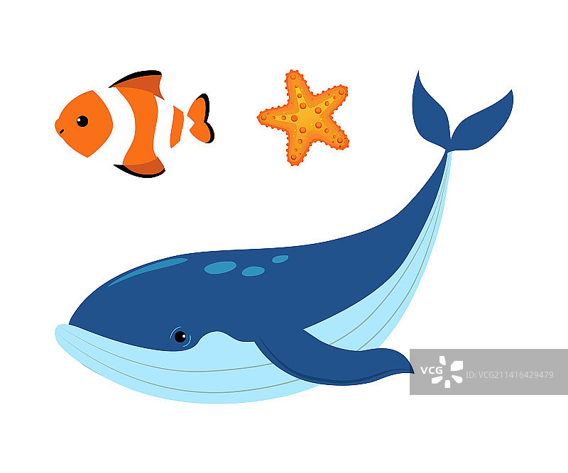 海星、鱼和鲸鱼海洋动物漂浮图片素材