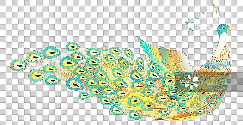 彩色的孔雀元素图片素材