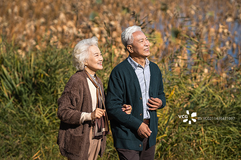 户外散步的幸福老年夫妇图片素材