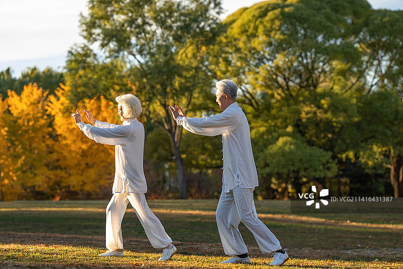 老年夫妇正在练太极拳图片素材
