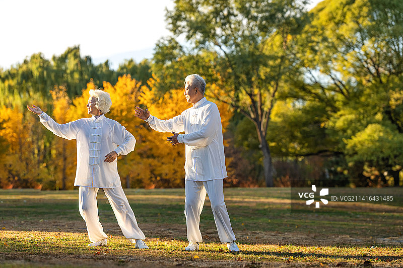 老年夫妇正在练太极拳图片素材
