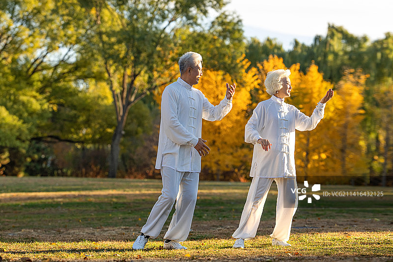 老年夫妇正在练太极拳图片素材