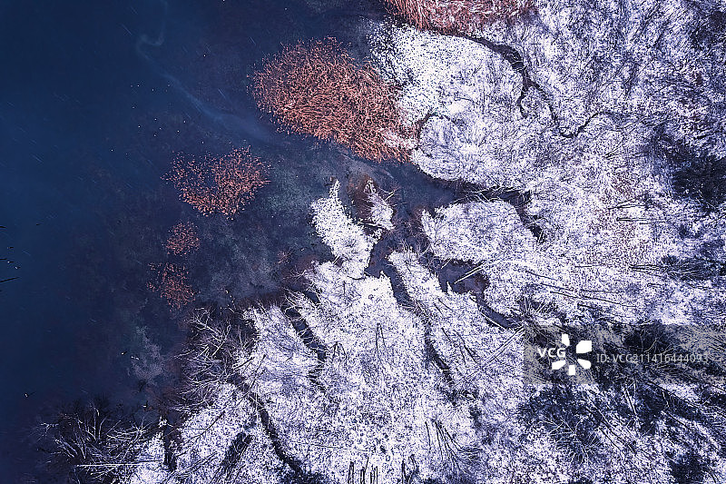 龙池国家森林公园的多彩寒冬图片素材