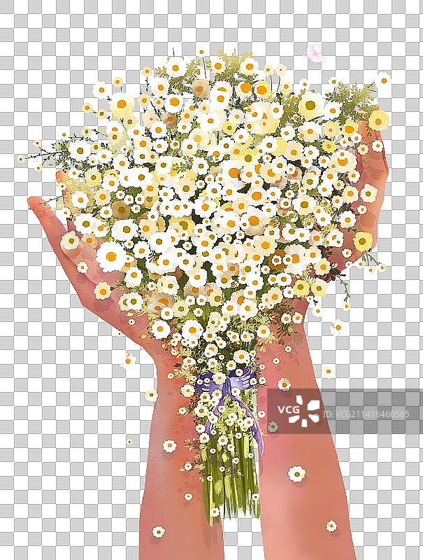一双手捧着大束雏菊花图片素材