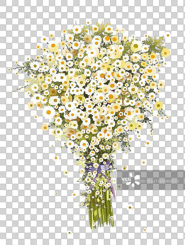 一束雏菊花图片素材