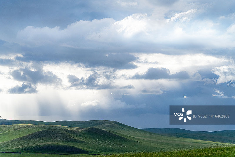 呼伦贝尔大草原的惊喜图片素材