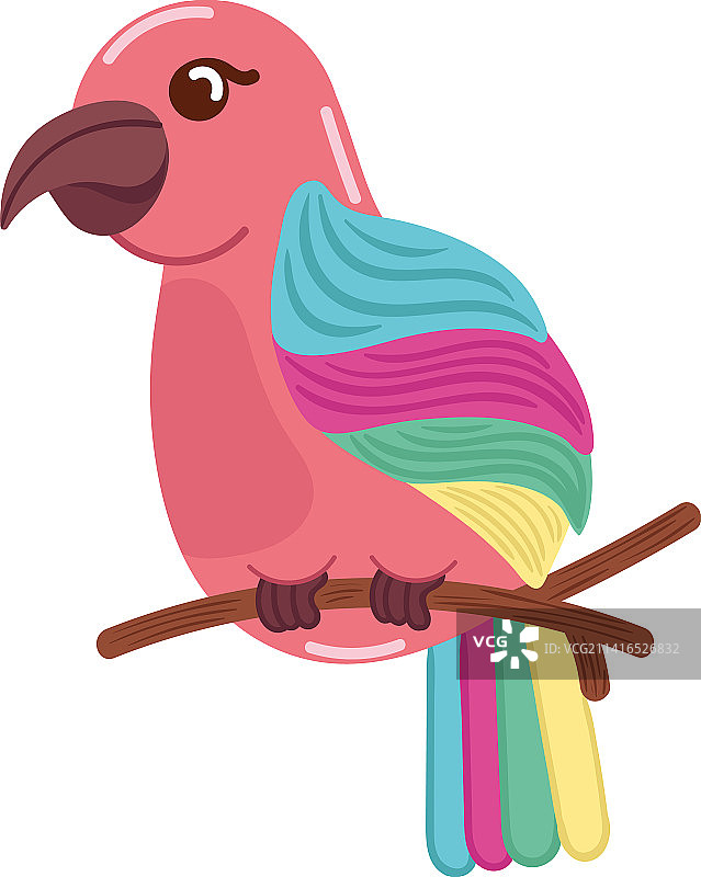 彩色粉色热带金刚鹦鹉图片素材