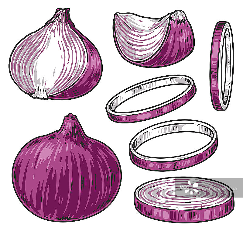 彩色红洋葱标志图片素材