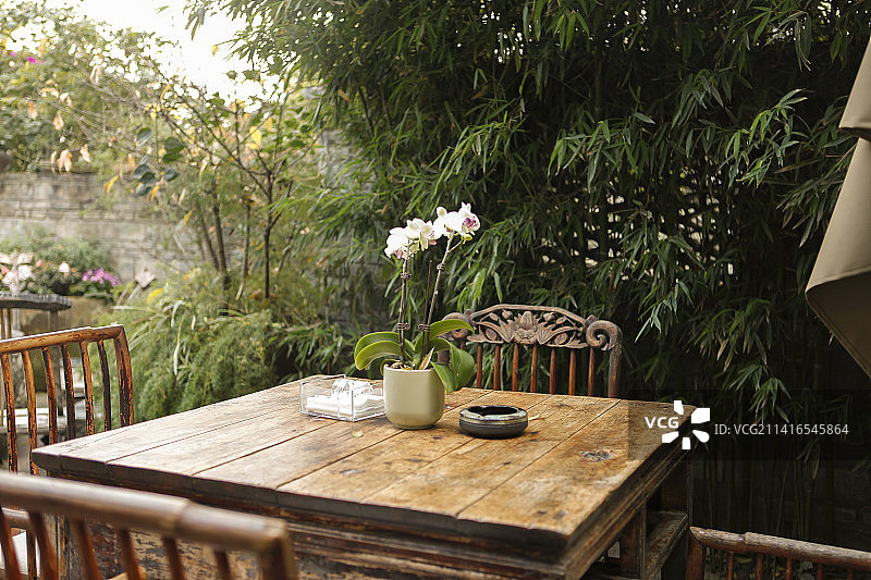 蝴蝶兰，中式庭院，中式餐厅，座位，农家，小院，中式建筑，别院，庭院，院落，一盆花，椅子，桌子，传统图片素材
