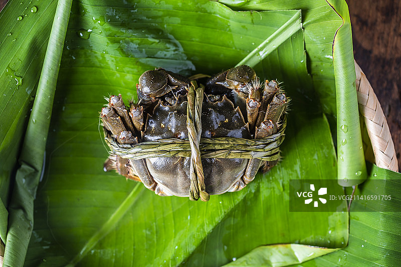 鲜活的大闸蟹图片素材