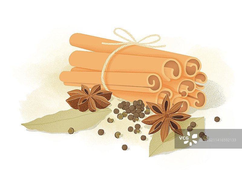 桂皮八角花椒香料手绘插画图片素材