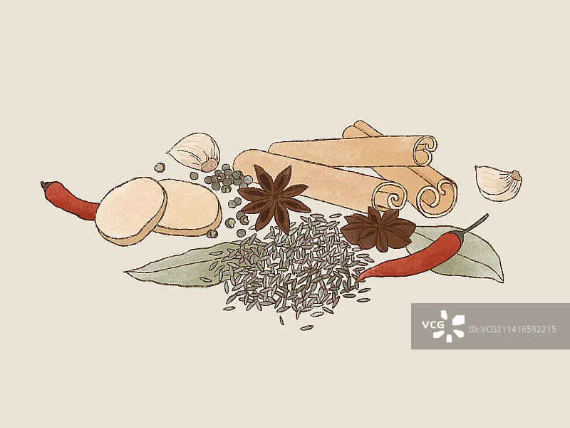 桂皮辣椒八角大蒜花椒手绘插画图片素材