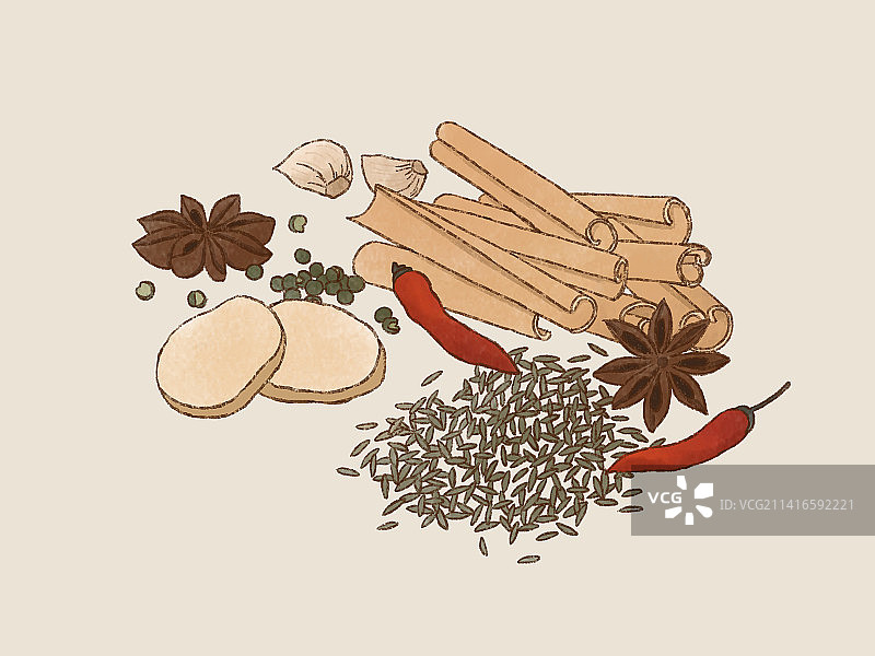 桂皮辣椒八角大蒜手绘插画图片素材