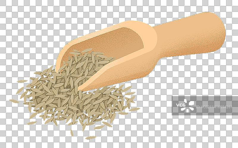 木勺里的孜然香料手绘插画图片素材