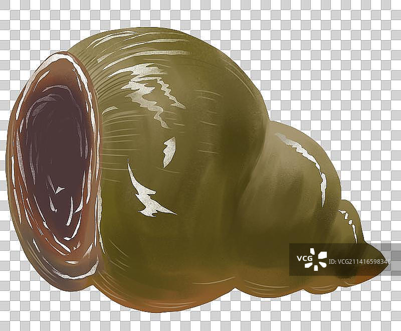 田螺福寿螺池塘沼泽淡水湖泊人工养殖食品食物食材元素插画图片素材