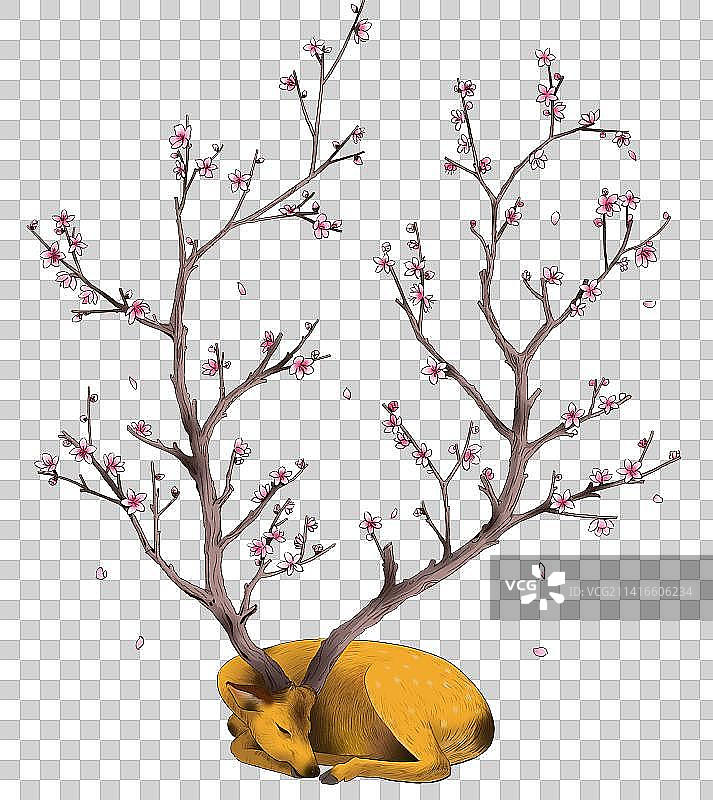 哺乳动物梅花鹿元素插画图片素材