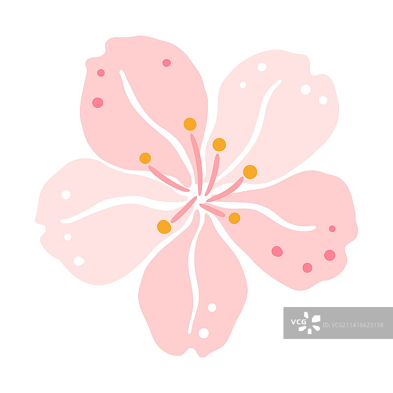 美丽的樱花图片素材