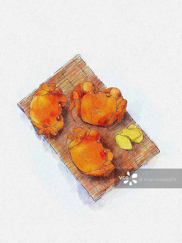 大闸蟹图片素材