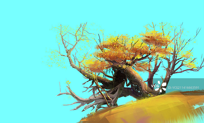 秋天的枯树手绘图图片素材