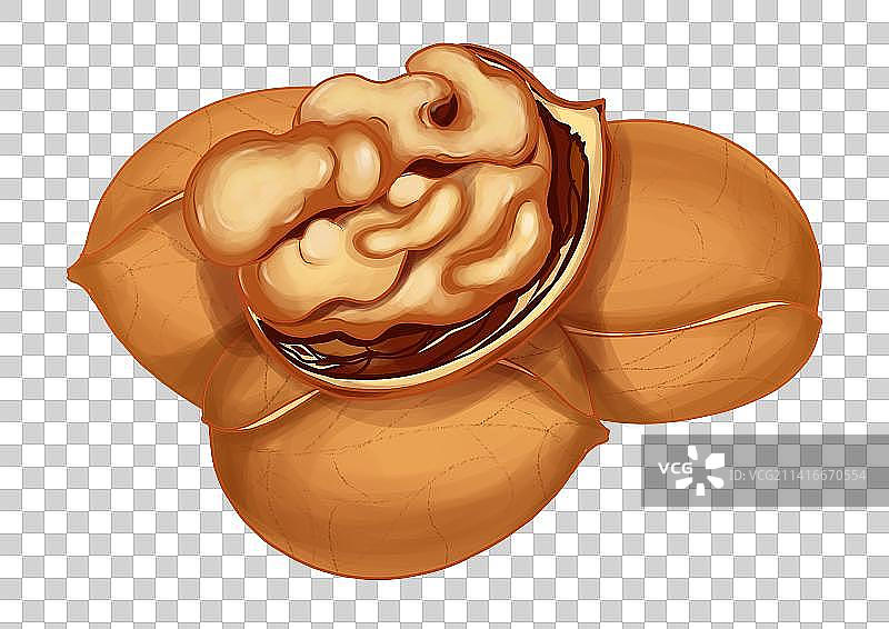 核桃图片素材