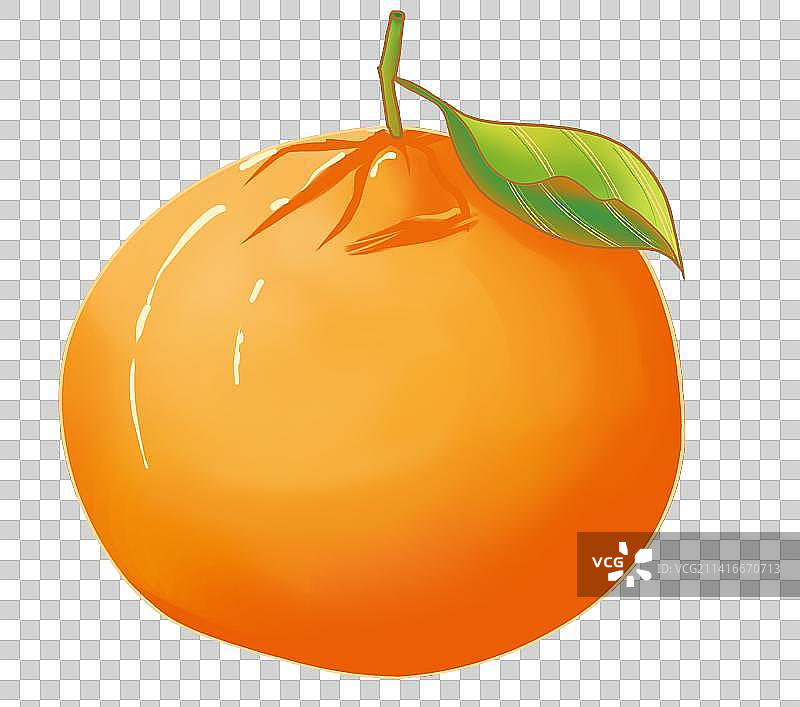 橙子橘子图片素材