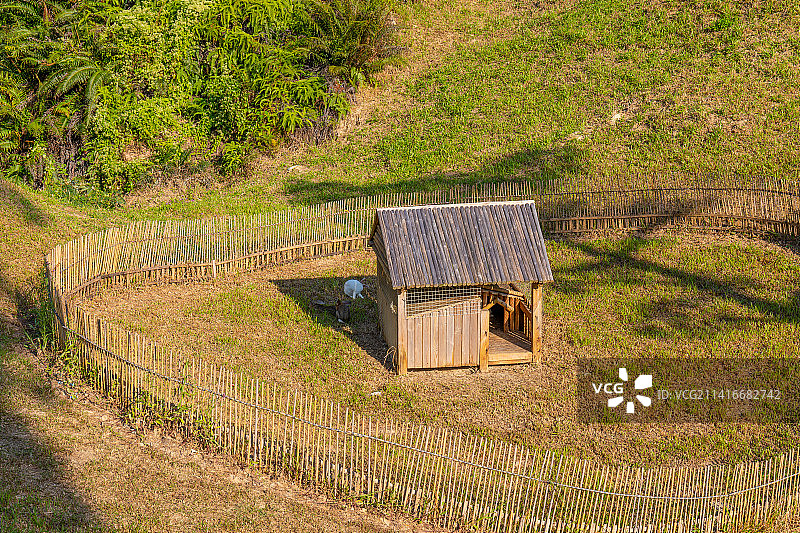 中国广东省珠海市香山湖公园里的兔子窝图片素材