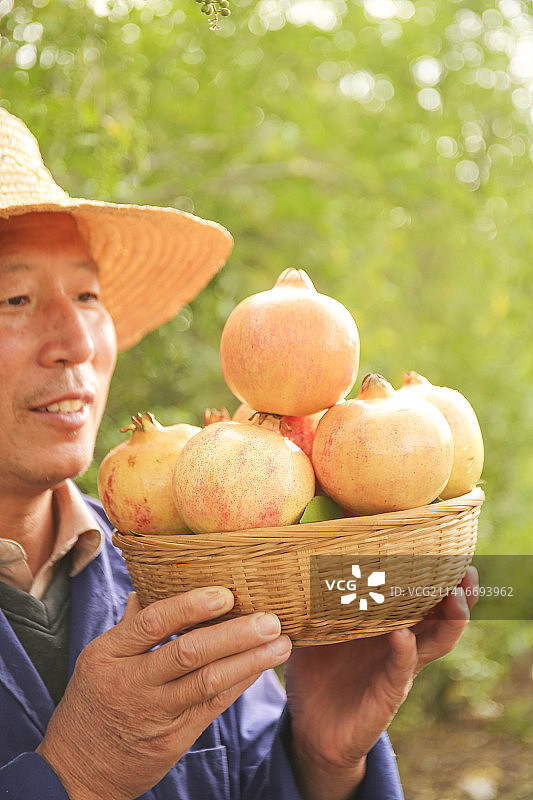 手里拿着蒙自甜石榴图片素材