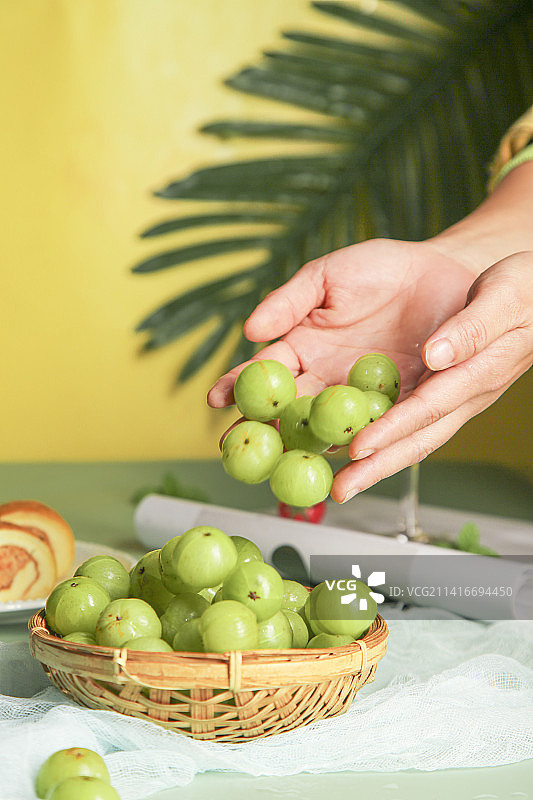 浅底上的油甘果图片素材