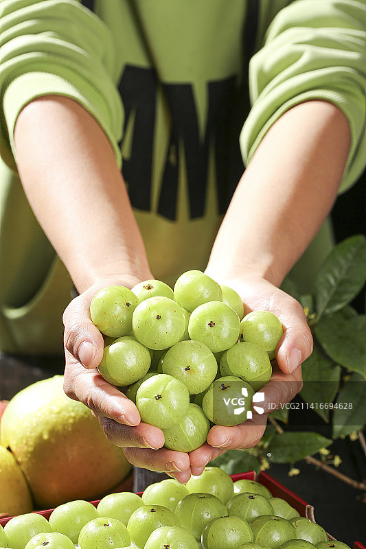深底上的油甘果图片素材