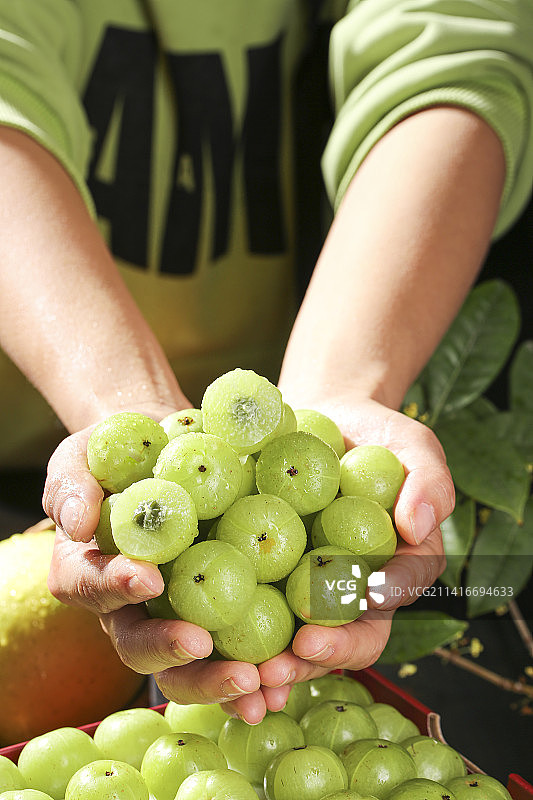 深底上的油甘果图片素材