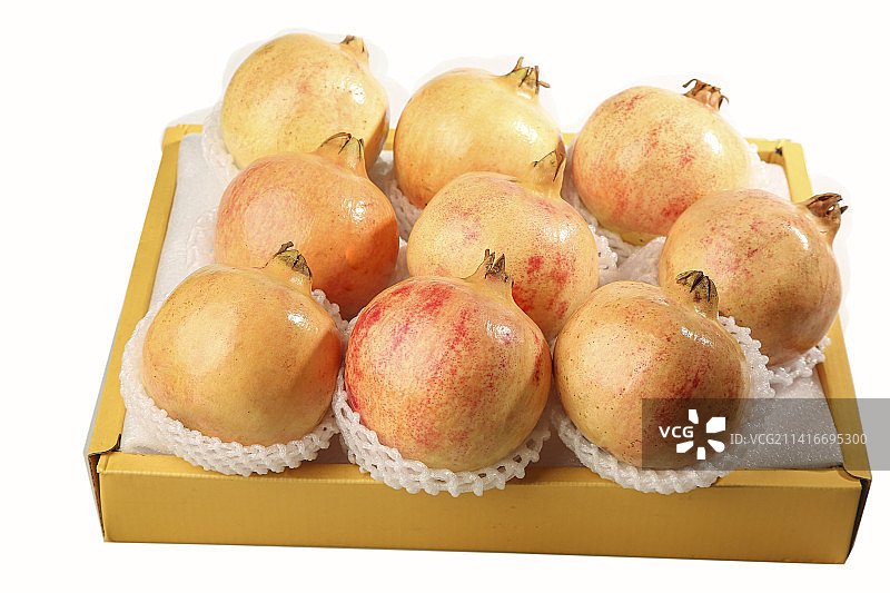 白底上的蒙自石榴图片素材