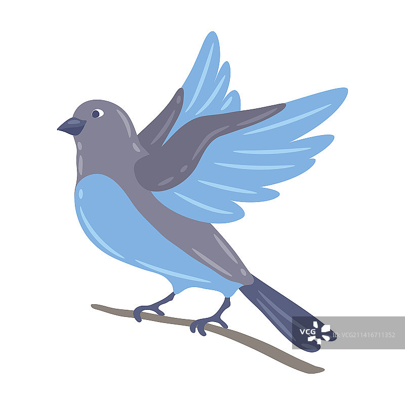 坐在树枝上的可爱小鸟图片素材