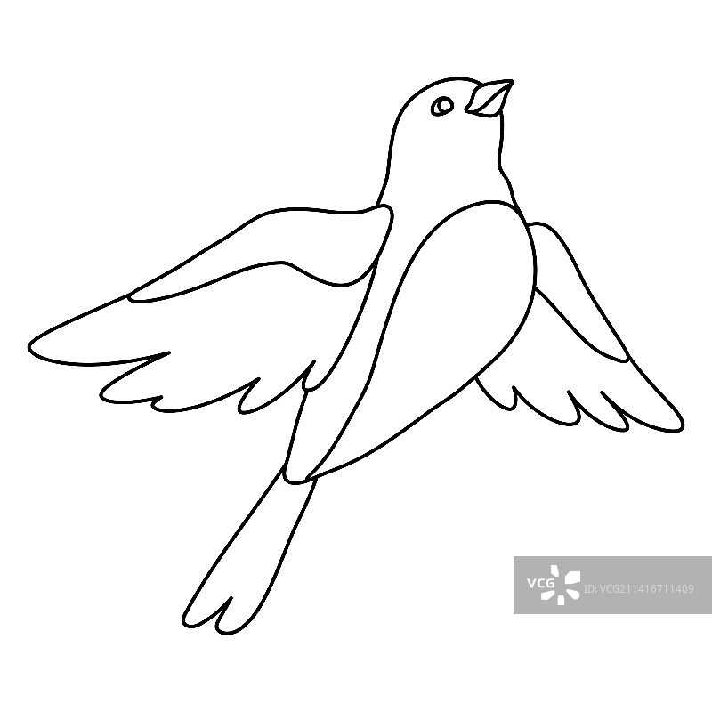 可爱的飞鸟图片图片素材